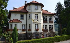 Pensjonat Mimoza